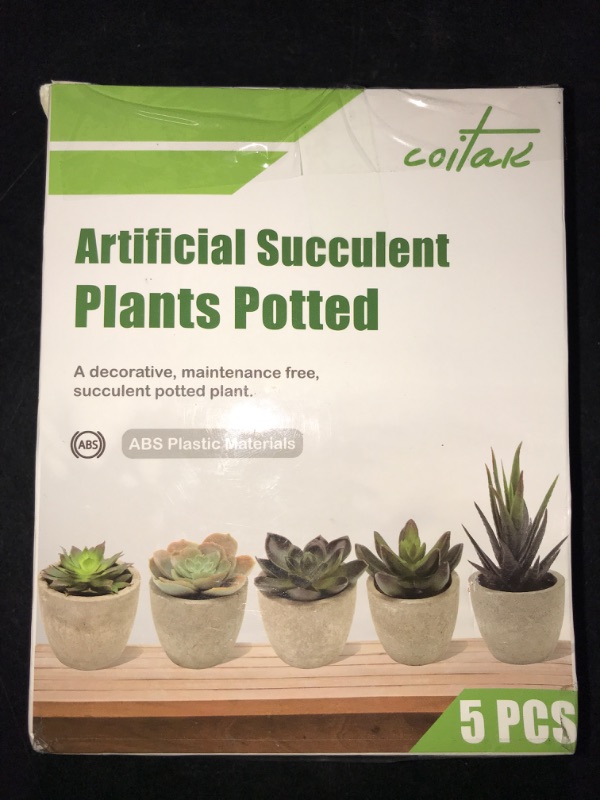 Photo 3 of Coitak Artificial Succulent Plants Potted, Assorted Decorative Faux Succulent Potted Fake Cactus Cacti Plants with Pots, Set of 5