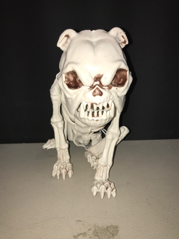 Photo 2 of JOYIN Halloween Plastic Dog Skeleton 8 Inches Puppy Skeleton Plastic Dog Bones with Joints for Prop Spooky Scene Party Favors Decoration