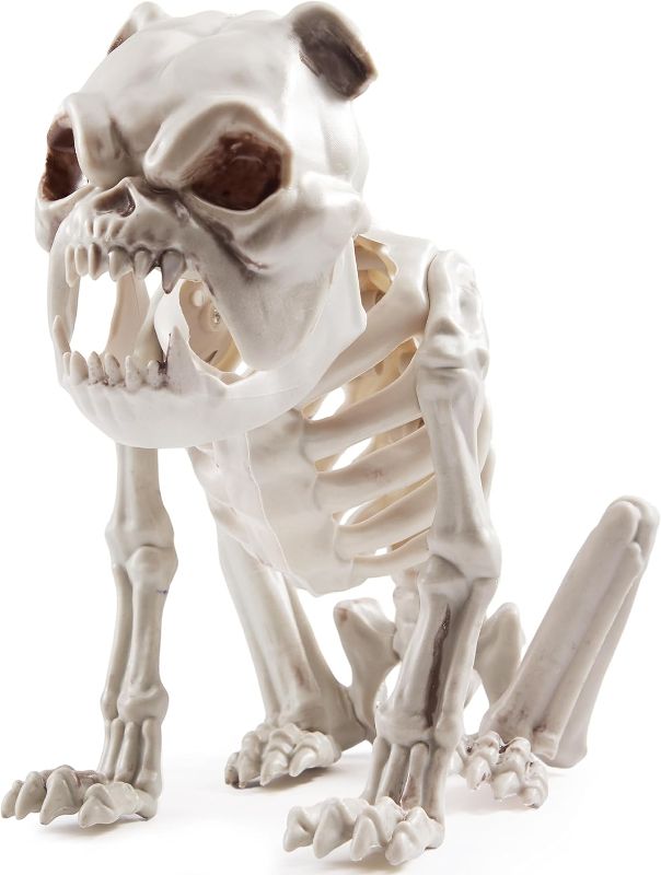 Photo 1 of JOYIN Halloween Plastic Dog Skeleton 8 Inches Puppy Skeleton Plastic Dog Bones with Joints for Prop Spooky Scene Party Favors Decoration