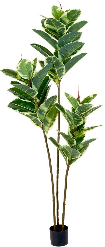 Photo 1 of Artificial Rubber Tree 6FT, Tall Fake Ficus Tree, Artificial Floor Plants Indoor, Faux Silk Plant for Home Office Room Decor