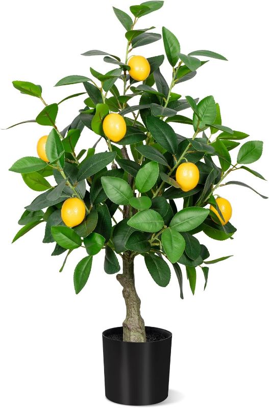 Photo 1 of Artificial Lemon Tree, 2.5FT(30 in) Faux Lemon Tree in Pot,Small Fake Lemon Fruit Plant for Indoor Home Decor Office Living Room (2.5ft)