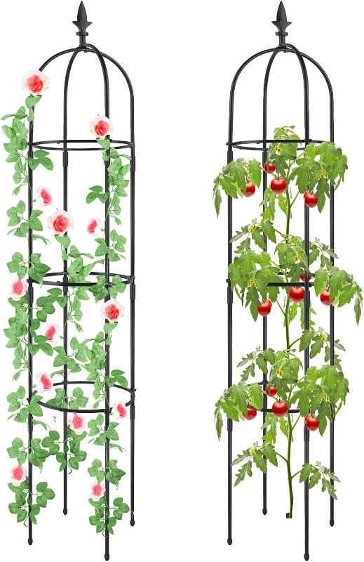 Photo 1 of 2Pcs Plant Cages and Supports, Deaunbr Tomato Cage 6FT Tall Plant Stakes Heavy Duty Garden Trellis for Indoor & Outdoor Plants, Climbing Plant, Tomatoes, Vegetables, Fruits, Flowers, Pots, Vines