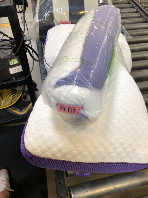 Photo 1 of 2 pack white and purple standard pillows 