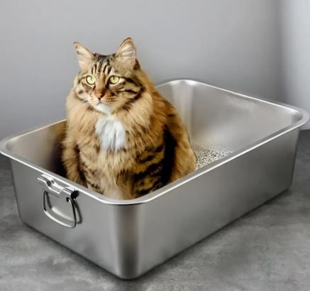 Photo 1 of Rectangle Stainless Steel Cat Litter Box for Clumping Cat Litter, Open Top Low Entry Litter Box with Scoop for Easy Cleaning
