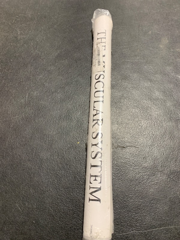 Photo 1 of Palace Learning Muscular & Skeletal System Anatomical Poster Set - LAMINATED 2 Chart Set - Human Skeleton & Muscle Anatomy - (18 x 27)