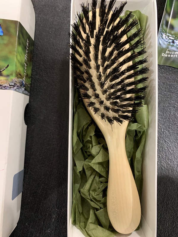 Photo 2 of 100% Pure Calcutta Wild Boar Bristle Hair Brush, Calcutta Max for Thick or Long Hair, Gentle, Extra Stiff Natural Bristles, Light Maple Wood Handle, Made in Europe