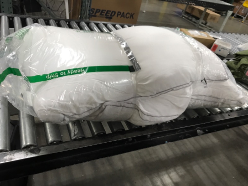 Photo 1 of 2 LARGE PILLOWS 