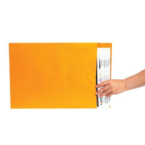 Photo 1 of 15" X 20" Kraft Jumbo Envelopes  (EN1082) Category: Large Format Envelopes
