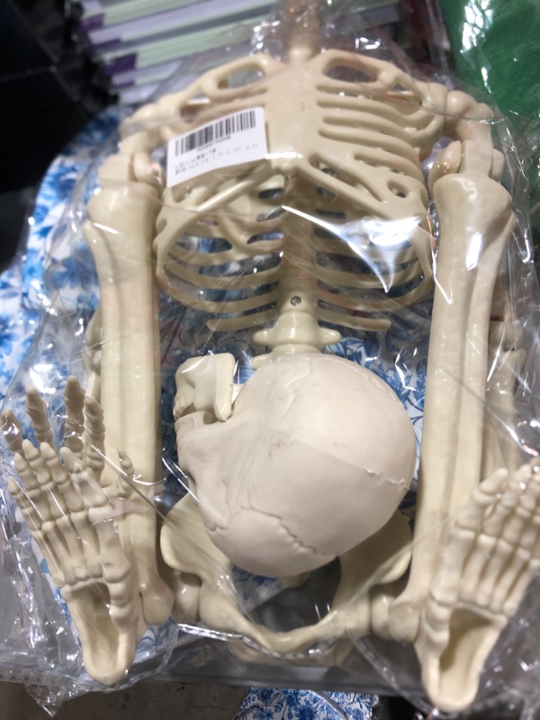 Photo 1 of Daricano Halloween Skeleton Decorations, 2.95ft Life Size Posable Skeleton, Large Full Body Skeleton, Realistic Child Skeleton for Halloween Outdoor Indoor Party Decor Haunted House Graveyard