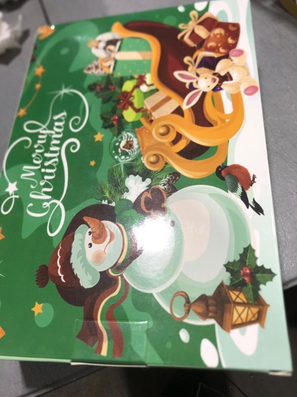 2024 Advent Calendar with 24 Packs Dolls, 24 Day Christmas Vacation