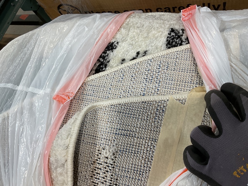 Photo 1 of **DIRT**Rug. Size unknown