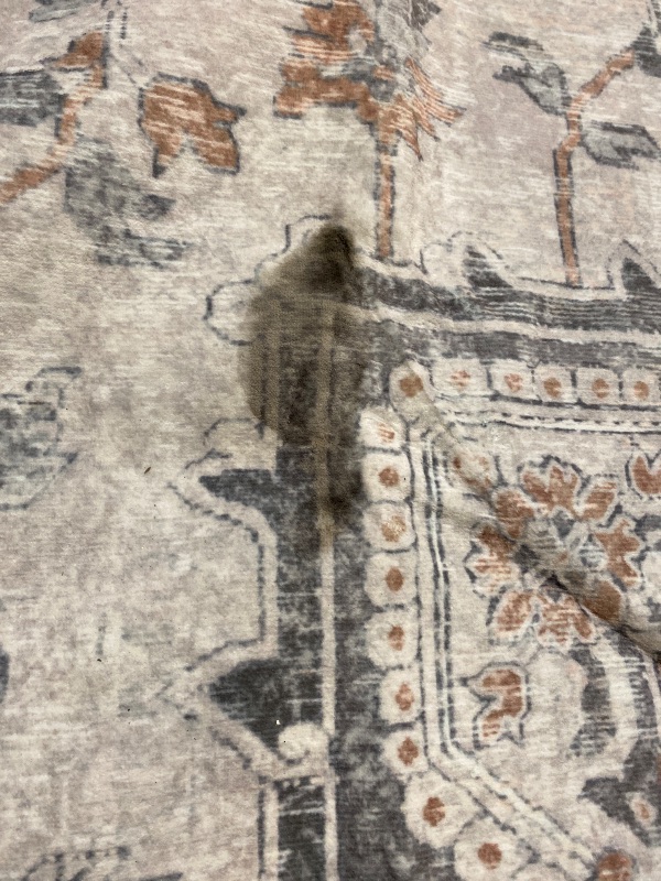 Photo 1 of GENIMO 8x10 Area Rugs for Living Room, Machine Washable Non Slip Vintage Rugs, Low Pile Lightweight Chenille Print Rug for Bedroom, Dining Room, Home Office, Light Taupe Brown