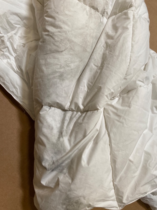 Photo 1 of DOWNCOOL Comforters Queen Size, Duvet Insert, White All Season Duvet, Lightweight Quilt, Down Alternative Hotel Comforter with Corner Tabs (White, Queen 88x92 Inches)