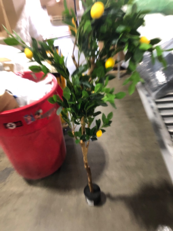 Photo 1 of Nafresh Tall Artificial LemonTree 6ft(72in), Faux Lemon Tree with Realistic Smooth and Shiny Leaves and Big Fruits? Fake Trees Indoor Outdoor for Home Office Living Room Bedroom Foyer Porch Decor.