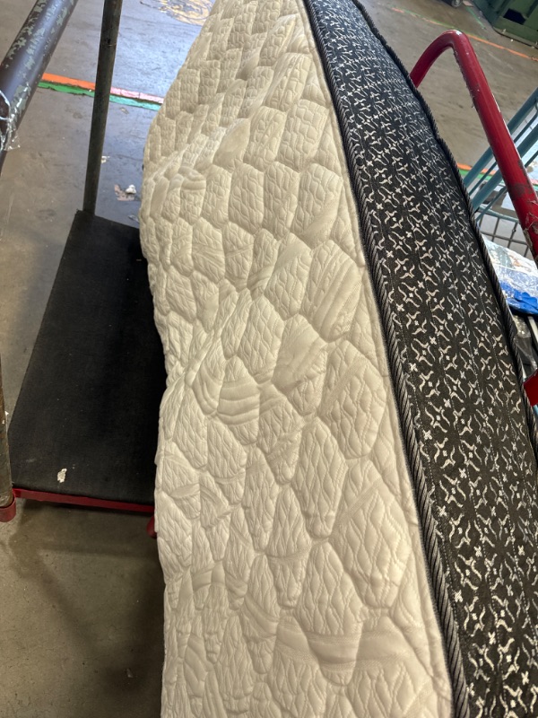 Photo 2 of **ONLY ONE** Greaton, 9-Inch Pocketed Coil Rolled Medium Plush Mattress for Adjustable Bed, Split Queen Set of 2 Halves (80x30 Each Half)