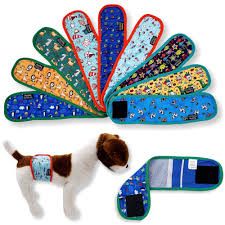 Photo 1 of *MIXED BUNDLE SEE PHOTOS*  Out! PetCare Disposable Male Dog Wraps, Safe, Male Wraps for Dogs, Pee Wraps Belly Bands WITH DESIGNS