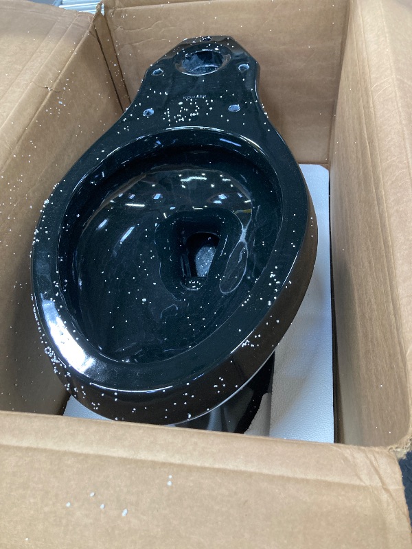 Photo 2 of Black Kohler toilet bowl