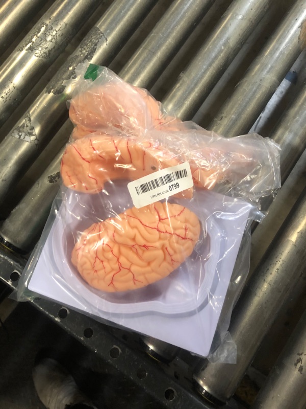 Photo 1 of WICHEMI Human Brain Model 9-Part Model of Brain Life Size Brain Anatomy Model w/Display Base for Teaching Neuroscience with Vessels Science Classroom Study Display Learning Medical Model