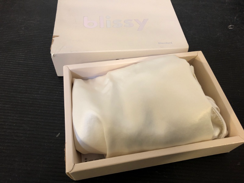 Photo 1 of 1--Blissy Silk Pillowcase - 100% Pure Mulberry Silk - 22 Momme 6A High-Grade Fibers - Silk Pillow Cover for Hair & Skin - Regular, Queen & King with Hidden Zipper  