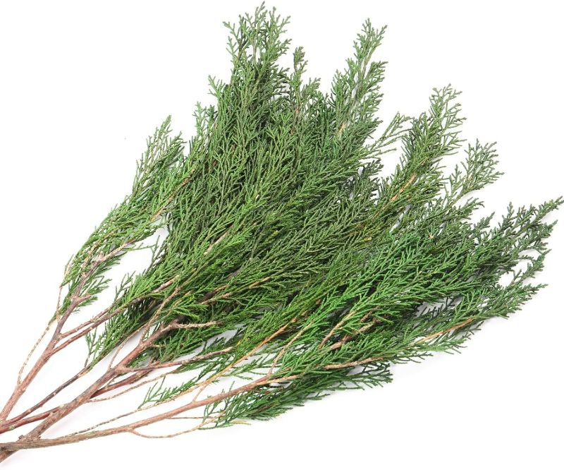 Photo 1 of 3.5OZ Preserved Real Pine Leaves Branches -17'' Natural Christmas Greenery Plants Pine Twigs Stems Pine Needles Evergreen Picks for Garland Wreath Xmas Wedding Home Party Indoor Outdoor Decor