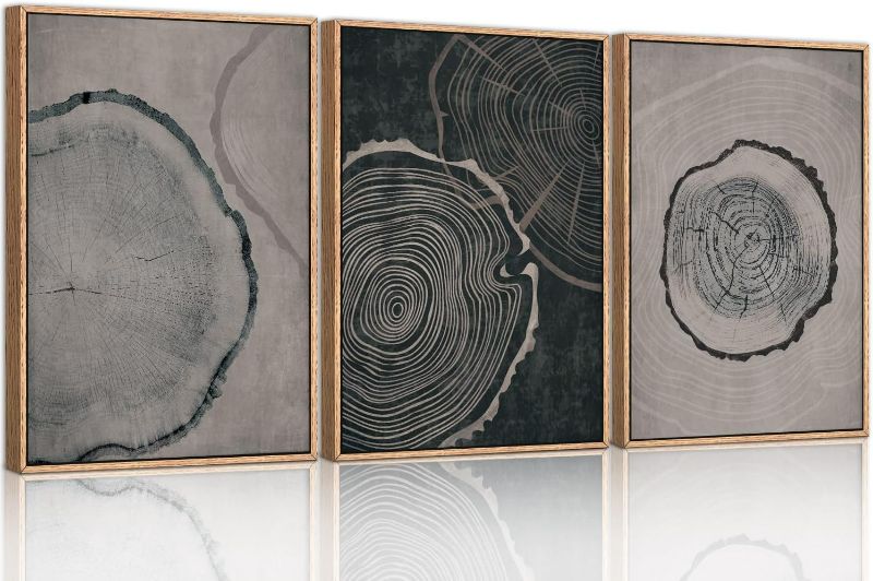 Photo 1 of Ausril Tree Ring Framed Canvas Wall Art Set of 3, Modern Beige Wood Stump Wall Decor, Black and Gray Tree Spiral Wall Painting, Neutral Nature Art Print for Living Room, Bedroom, Office - 36"x24"