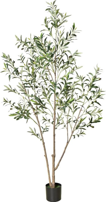 Photo 1 of Olive Trees Artificial Indoor, 6FT Tall Faux Olive Tree, Fake Potted Olive Tree, Artificial Plants with Natural Wood Trunk and Lifelike Fruits for Home Room Office Decor and Housewarming Gift
