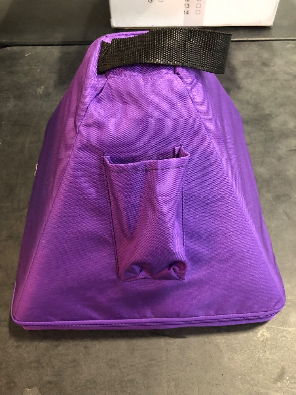 Photo 1 of 10 Inch Quartz Crystal Singing Pyramid Healing Musical Instrument + Carry Case Bag Powerful Energy