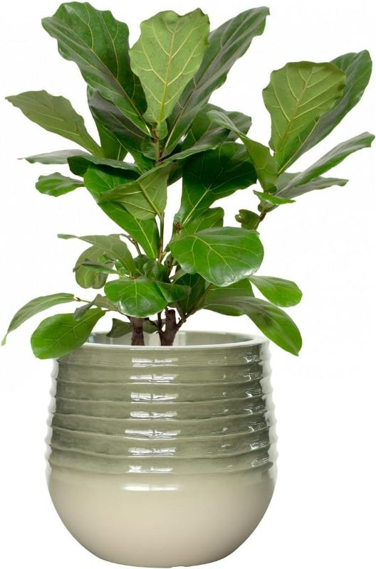Photo 1 of 10.8" H x 11.8" D (9.2" Pot Opening) Large Plant Pots for Indoor Outdoor Plants, Tall Round Deep Flower Pots with Drainage Holes and Plug, Big Decorative Plastic Planter Pots for Garden House Plants