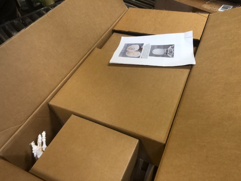 Photo 1 of breesky Human Skeleton Model for Anatomy- Life Size Medical Human Skeleton Model with Nervous System 70.8 in with Rolling Stand for Medical Study and Display 3 Posters