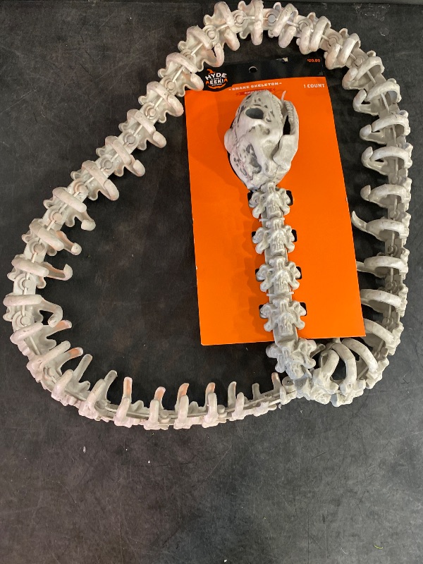 Photo 2 of 71.5" Snake Skeleton Halloween Decorative Prop - Hyde & EEK! Boutique