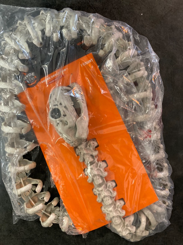 Photo 3 of 71.5" Snake Skeleton Halloween Decorative Prop - Hyde & EEK! Boutique
