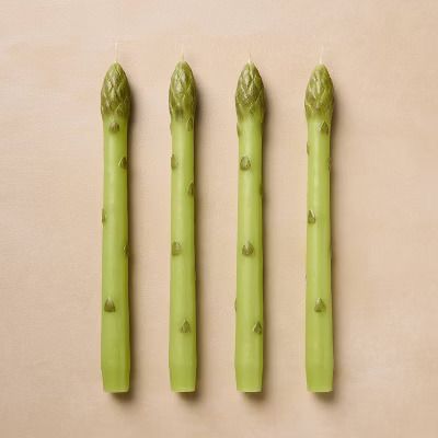 Photo 1 of 4pk Taper Candles Unscented Asparagus Green - John Derian