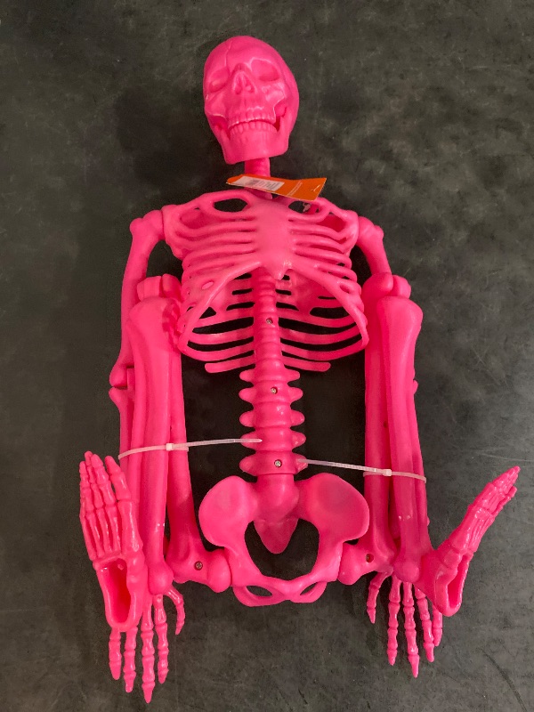 Photo 2 of 36" Posable Skeleton Halloween Decorative Prop Pink