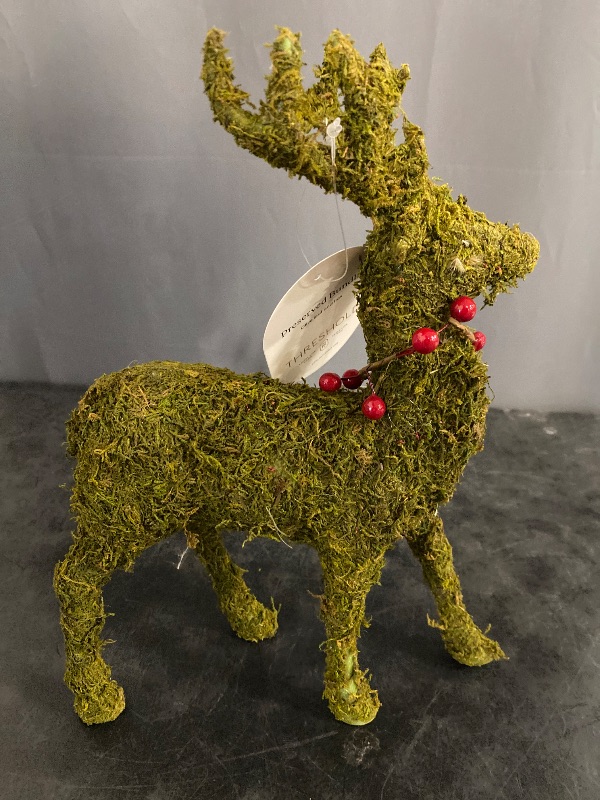 Photo 2 of Moss Deer Green 13" Christmas Animal Statue