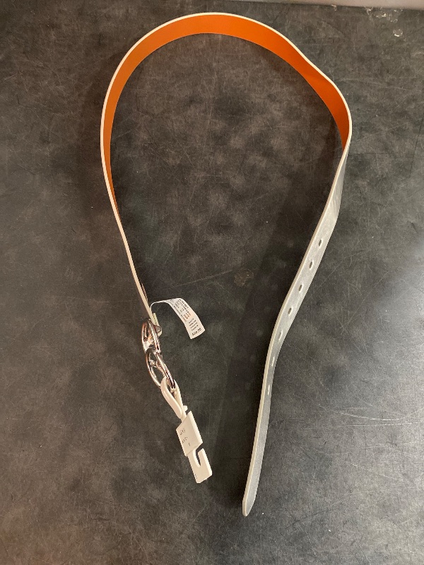 Photo 1 of large Women's Metallic Double Buckle Belt