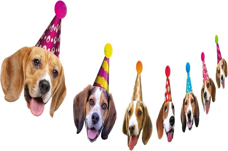 Photo 1 of Beagle Birthday Garland, Funny Beagle Face Portrait Happy Birthday Banner, Dog Bday Party Supplies
