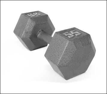 Photo 1 of CAP Barbell 55lb Cast Iron Hex Dumbbell, Single
