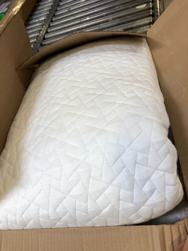 Photo 1 of 2pack pillows white