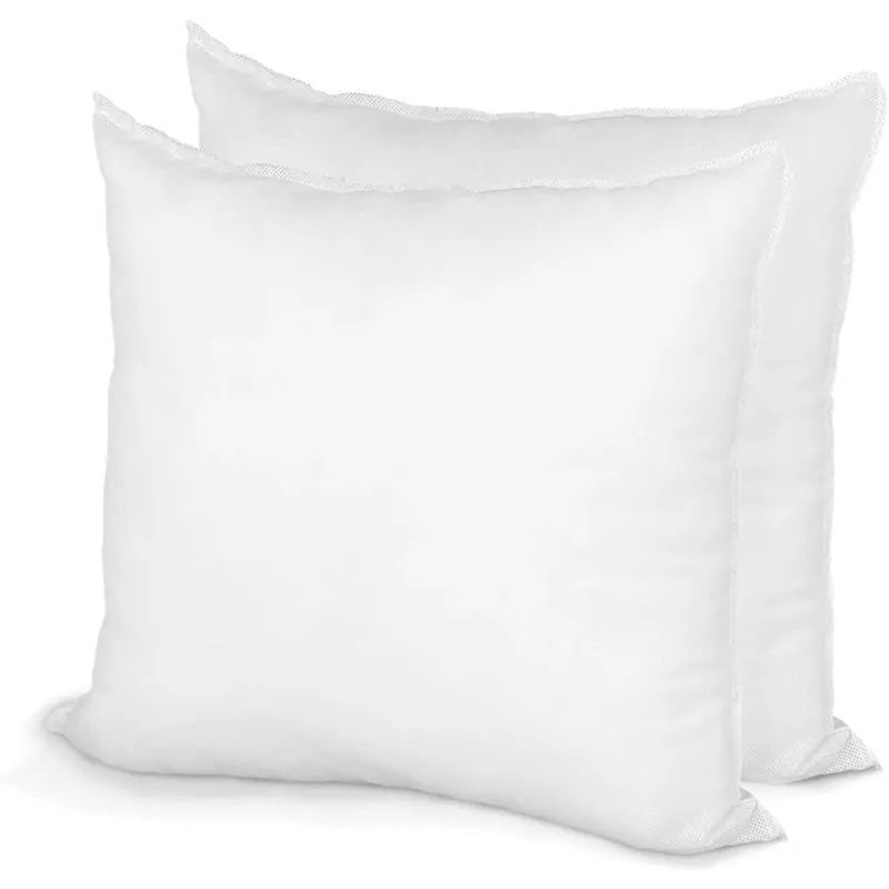 Photo 1 of 2 LARGE PILLOW INSERTS