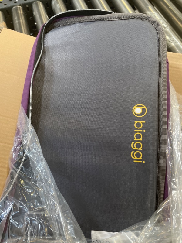 Photo 1 of Biaggi Zipsak Boost! Foldable Underseat Carry-On Expands to Full Size Carry-On - Custom Sized Packing Cube Included (Purple)