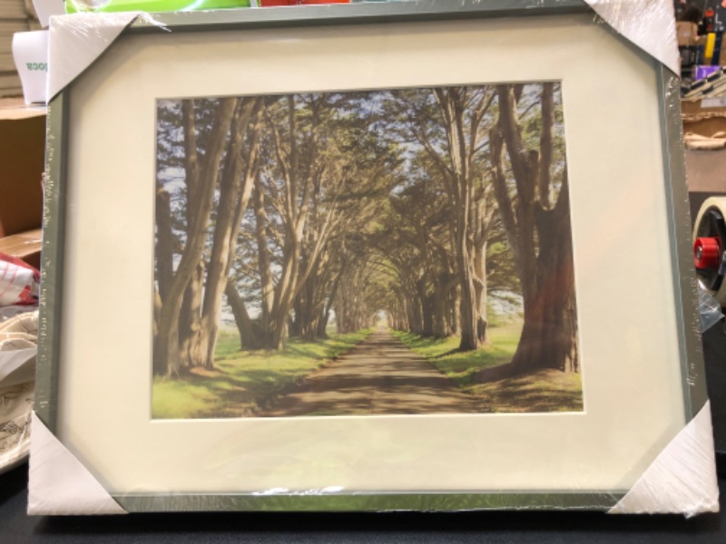 Photo 1 of 14.5'' X 11''  TREE LINED DRIVEWAY 