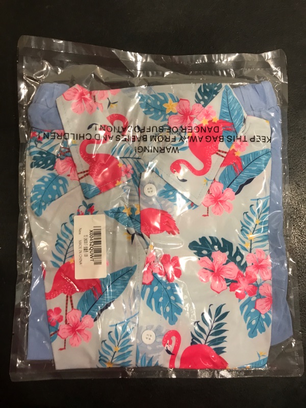 Photo 1 of [Size 5-7yrs] 2 Pc Short and Button Down Set