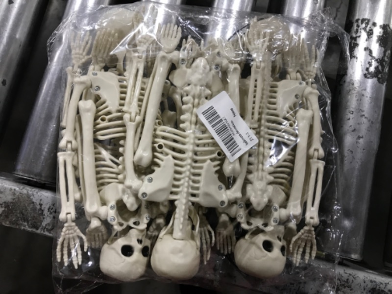 Photo 2 of 5 Packs Halloween Plastic Skeleton, 16" Posable Skeleton Decoration, Halloween Full Body Skeleton with Movable Joints, Realistic Pumpkin Skeletons for Halloween Haunted House Graveyard Props Decor