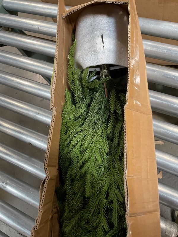 Photo 1 of 4ft Christmas Norfolk Pine Tree Artificial Christmas Tree Faux Potted Plants for Front Porch Christmas Indoor Outdoor Decor?2 PCS