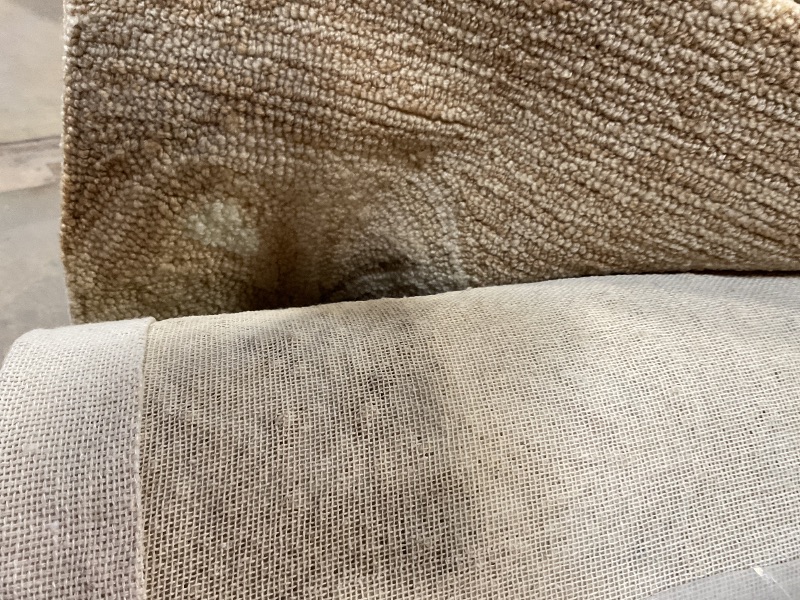 Photo 4 of Liora Manne Capri Indoor/Outdoor Handmade Synthetic Blend Durable Area Rug - Transitional Graphic Coastal Beach Decorative (Sea Biscuit Natural) (7'6" x 9'6")