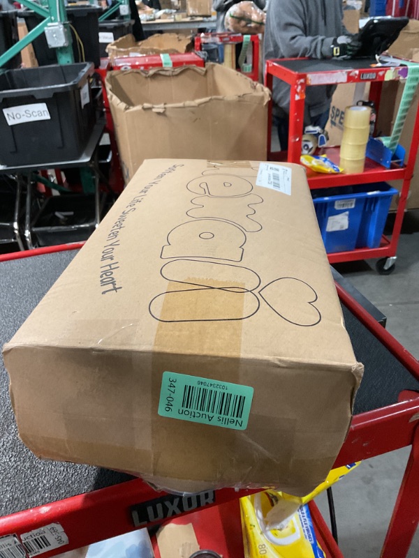 Photo 1 of Mewaii Long Cat Plush 5 Sizes, 120% Extra Filling Giant Plushness Kids Body Pillow, Kawaii Cute Grey Cat Stuffed Animals Plushies, Big Long Body Pillow Cat Plush Gift for Girls 44”