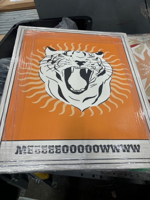 Photo 1 of (Meow) white and black tiger, orange and white portrait 