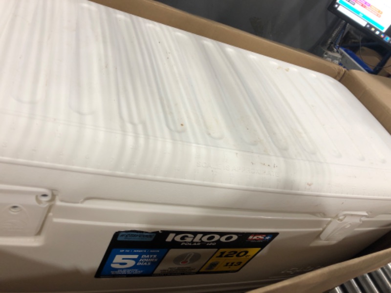Photo 1 of Igloo Polar 120 Qt. Cooler