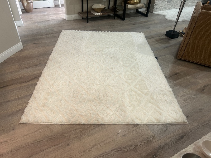 Photo 1 of TAHARI 5’2” x 7’ CREAM PRISCILLA CARPET