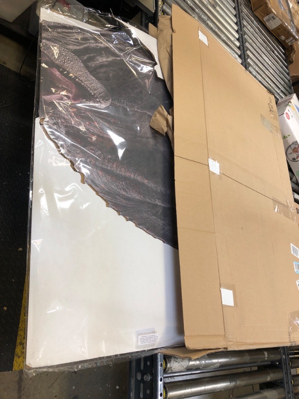 Photo 1 of Cardboard People Carnotaurus Life Size Cardboard Cutout Standup - Jurassic World Dominion (2022 Film)